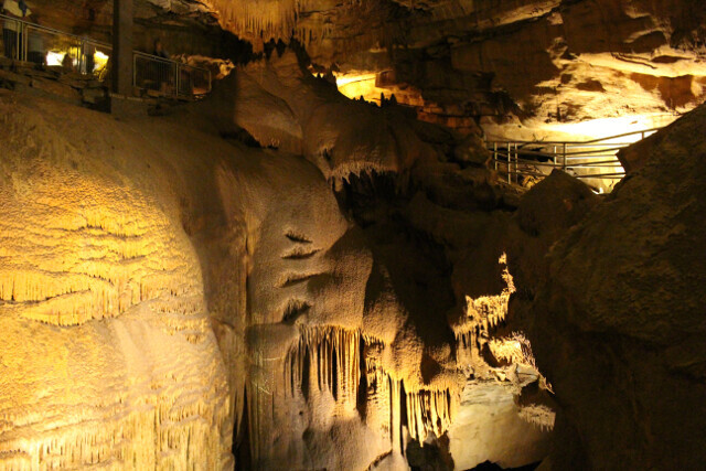 Mammoth Cave in Kentucky. The reason we only spent one night in Nashville.